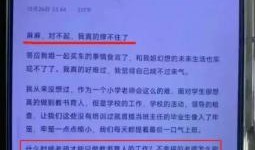 中单小学爆料事件最新情况,最新进展揭秘，真相逐步浮出水面